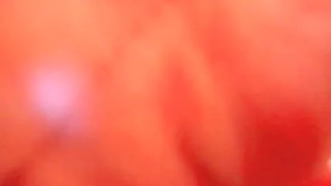 breasty blonde shelady Sarina Valentina oral sex job And pooper pounding