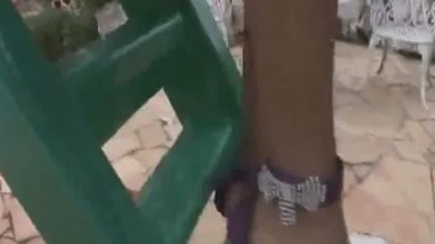 ladyboy chick Paola Lima Masturbating outdoors