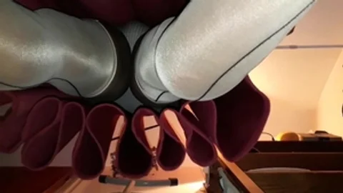 Red skirt panties & nylons 70FR81