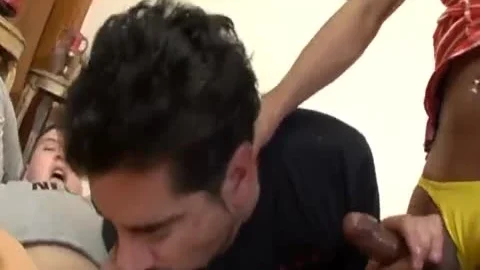shemale & Two homosexual slamming