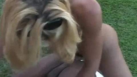 Two homo dudes And ladyman Lisa Lawer outside fucking Each Others butt Holes