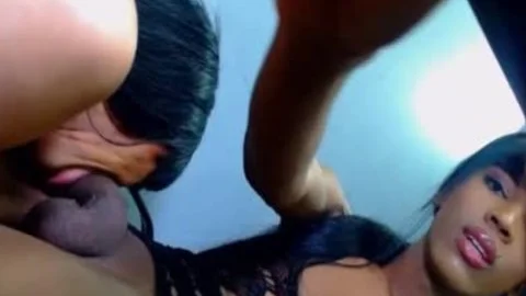 ebon TS receives enormous dick Sucked