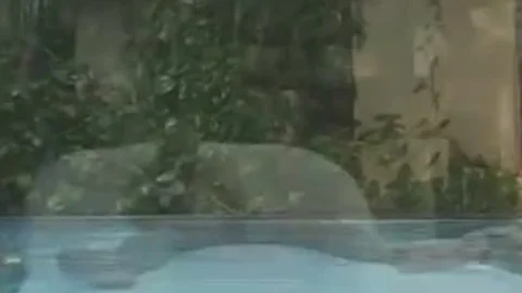 Suzany Petrovick Follada En Piscina