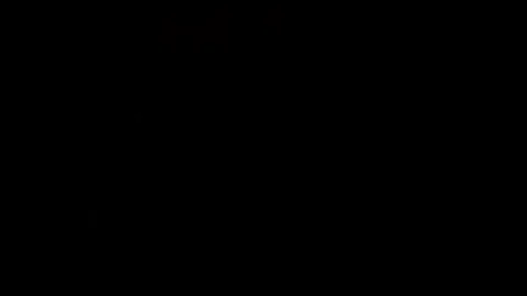 Japanese shelady Sex At Restaurant